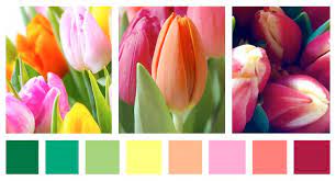 Paleta de colores primaveral | Decoracion de INTERIORES